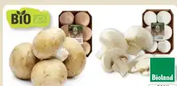 Edeka Unsere Heimat Echt & Gut Bio-Champignons Angebot
