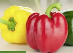 Edeka Edeka Bio Bio-Paprika-Mix Angebot