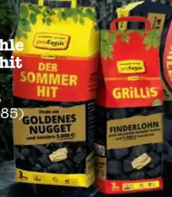 Scheck-in-Center proFagus Der Sommer Hit Premium Grill-Holzkohle Angebot
