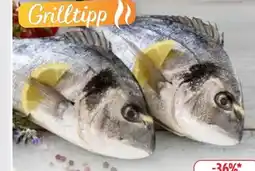 Edeka Dorade Royale Angebot
