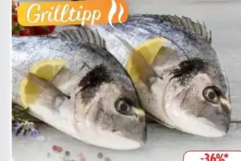 Edeka Dorade Royale Angebot