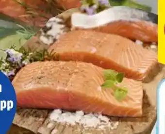 Edeka Landauer Fischmarkt Kissel Lachsfilets Angebot