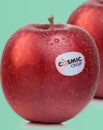 Edeka Cosmic Crisp Äpfel Angebot