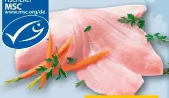 REWE Center Schollenfilet Angebot
