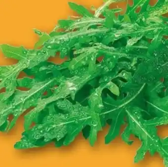 REWE Center Rucola Angebot