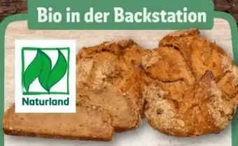 REWE Center Rewe Back-Station Naturland Hausbrot Emmer Angebot