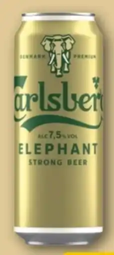 REWE Center Carlsberg Elephant Premium Beer Angebot