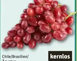REWE Tafeltrauben Angebot