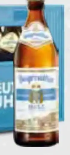 trinkgut Bayreuther Brauhaus Hell Angebot