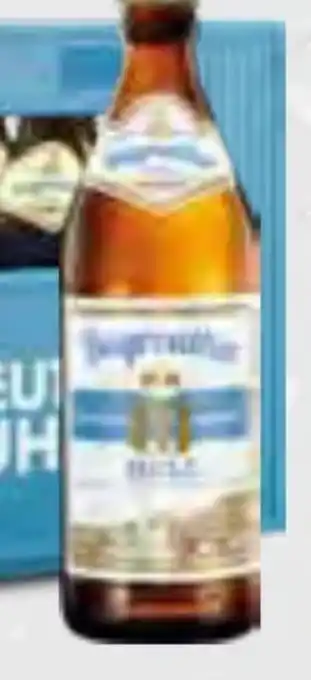 trinkgut Bayreuther Brauhaus Hell Angebot