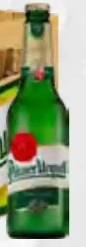 trinkgut Pilsner Urquell Pilsener Angebot