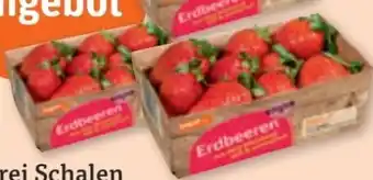 tegut tegut... Erdbeeren Angebot