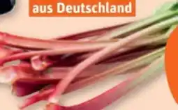 tegut Rhabarber Angebot