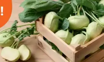 tegut Kohlrabi Angebot
