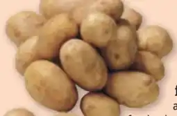tegut Speisefrühkartoffeln Angebot