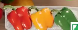 tegut Bio Paprika-Mix Angebot