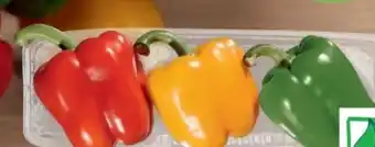 tegut Bio Paprika-Mix Angebot
