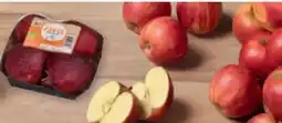 tegut tegut... Bio-Äpfel Angebot