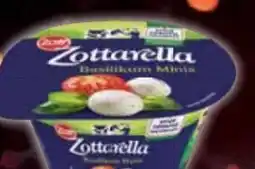 E-Center Zott Zottarella Minis Angebot