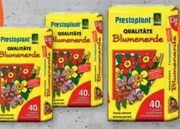 tegut Prestoplant Blumenerde Angebot