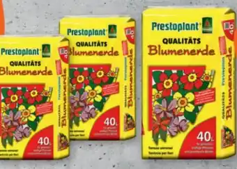 tegut Prestoplant Blumenerde Angebot