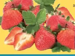 E-Center Erdbeeren Angebot