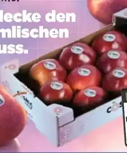 E-Center Cosmic Crisp Tafeläpfel Angebot