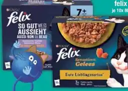 E-Center Purina Felix Katzennahrung Angebot