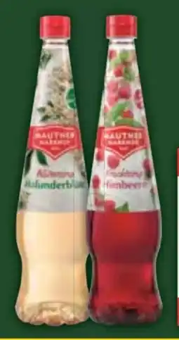 E-Center Mautner Markhof Sirup Angebot