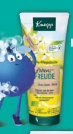 E-Center Kneipp Aroma-Pflegedusche Angebot