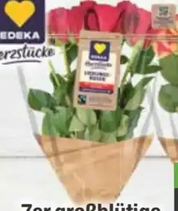 E-Center Edeka Herzstücke Lieblingsrosen Angebot
