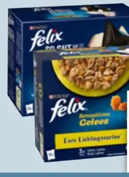 Edeka Xpress Purina Felix Katzennahrung Angebot