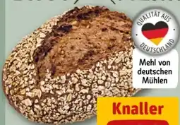 REWE Center Rewe Back-Station Dinkelkruste Angebot