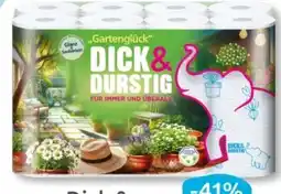 Budni Dick&Durstig Haushaltstücher Angebot