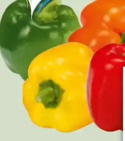 Edeka Xpress Paprika Rot Angebot