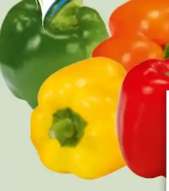 Edeka Xpress Paprika Rot Angebot