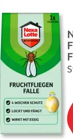 Budni Nexa Lotte Fruchtfliegenköder Angebot