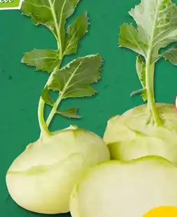 PENNY Marktliebe Regional Kohlrabi Angebot