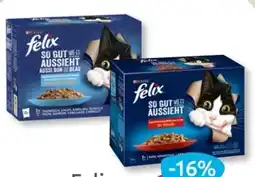 Budni Purina Felix Katzennahrung Angebot