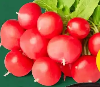 PENNY Marktliebe Radieschen Angebot