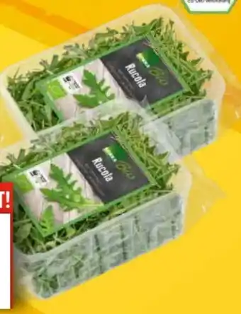 EDEKA Bandelt Edeka Bio Rucola Angebot