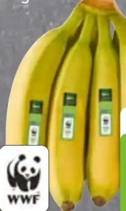 Edeka Frischemarkt Edeka Bio Bio-Bananen Angebot