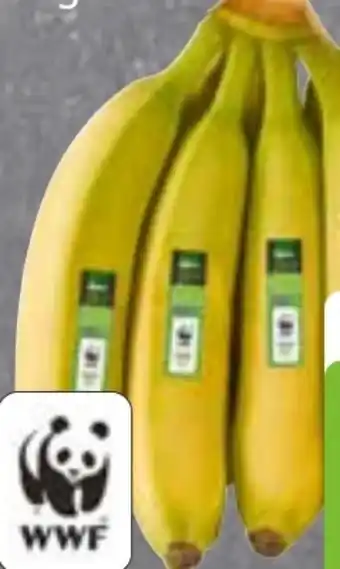 Edeka Frischemarkt Edeka Bio Bio-Bananen Angebot