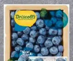 Edeka Driscoll's Kulturheidelbeeren Angebot