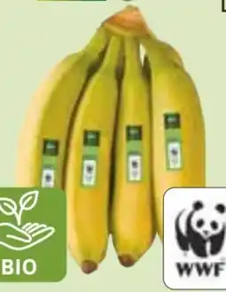 Edeka Edeka Bio Bio-Bananen Angebot
