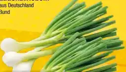 EDEKA Bandelt Lauchzwiebeln Angebot