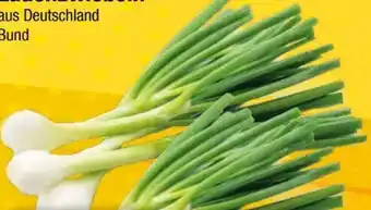 EDEKA Bandelt Lauchzwiebeln Angebot