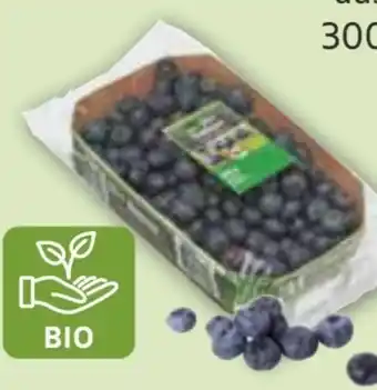 Edeka Edeka Bio Bio-Kulturheidelbeeren Angebot