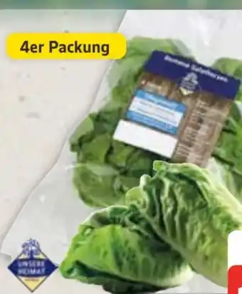 Edeka Unsere Heimat Romanasalatherzen Angebot