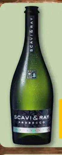 REWE Scavi & Ray Prosecco Frizzante Angebot
